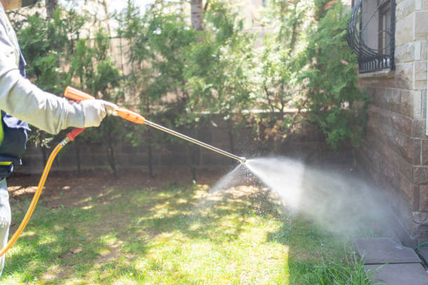 Best Termite Control Services  in Frederick, MD