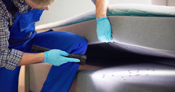 Best Flea Control Services  in Frederick, MD