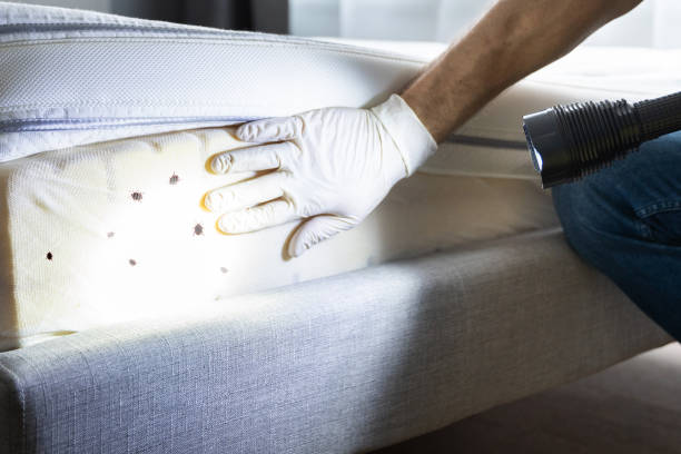Best Best Pest Control Companies  in Frederick, MD