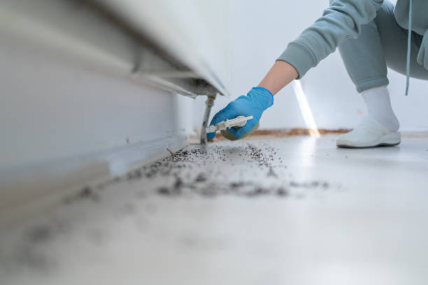 Best Pest Removal Services  in Frederick, MD